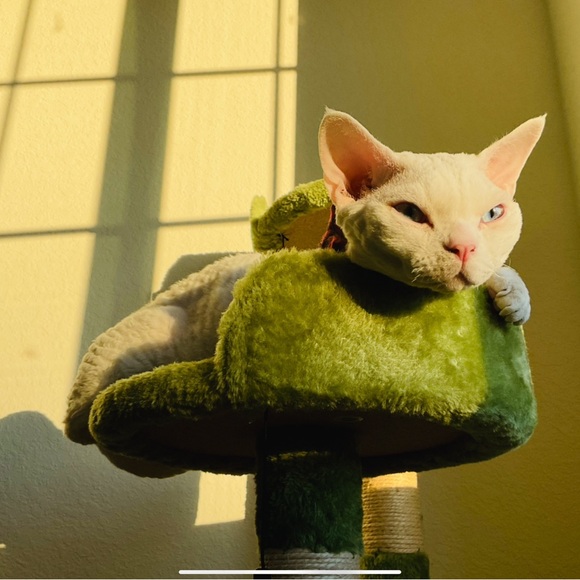 Meet your Posher, Eva - Picture 13 of 13